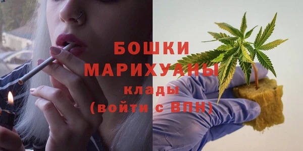 2c-b Белокуриха