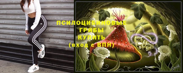 2c-b Белокуриха