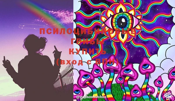 мяу мяу мука Шарыпово