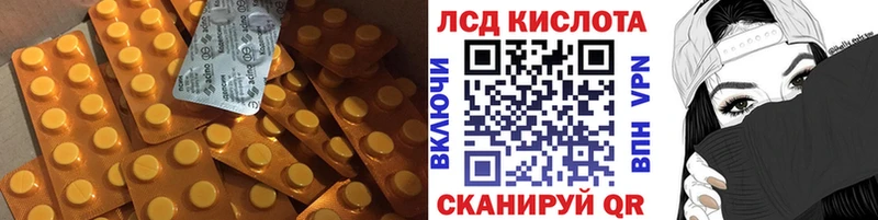 где можно купить наркотик  Новоаннинский  Лсд 25 экстази ecstasy 