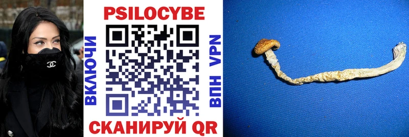 Галлюциногенные грибы GOLDEN TEACHER  Новоаннинский 